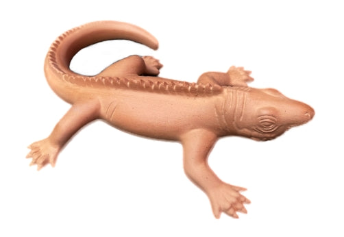 iguana