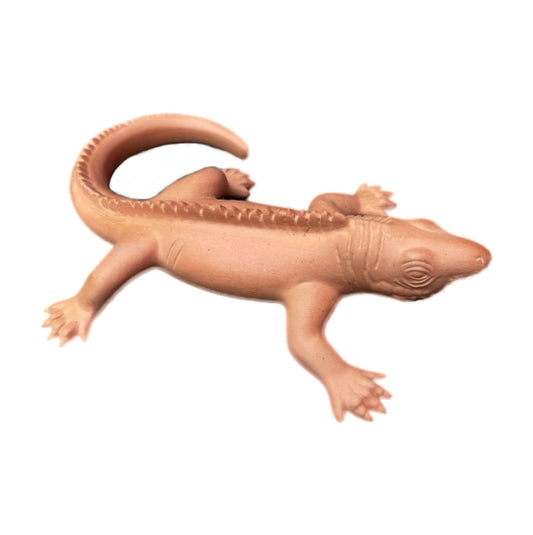 iguana